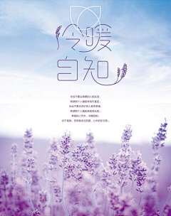 Arfa_qping采集到文字排版