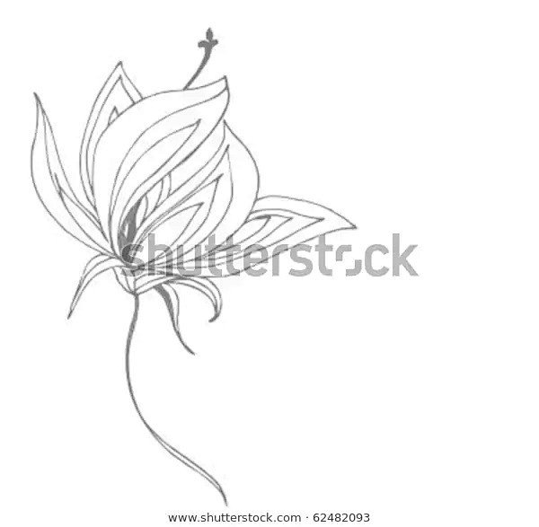 VECTOR  Flower backg...