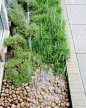 Clean Water Nashville Program: Structured Bioretention at TN Assoc of Realtors Headquarters