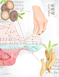 中医药膳针灸蘑菇林芝枸杞人参中式医疗医学插画