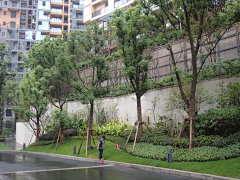 月隰采集到挡土墙