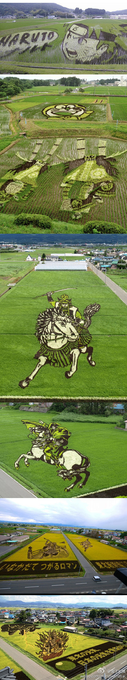 欣赏】“rice paddy art”，...