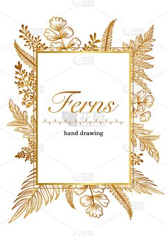 蕨类素描艺术手绘矢量
