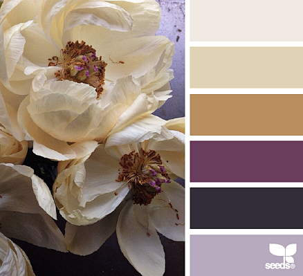 peony palette