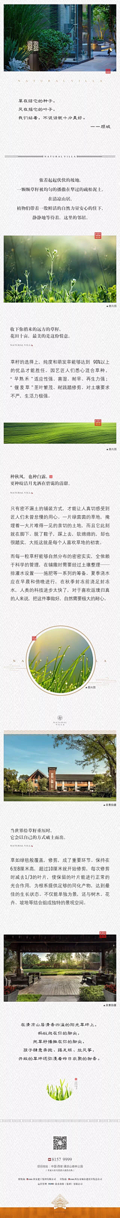 大步进击的哈士奇采集到长图文