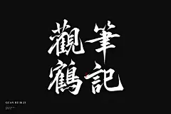 观鹤笔记