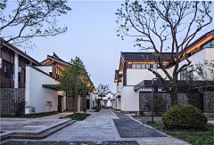 糖果兔兔828采集到背景