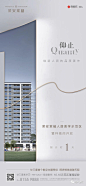 地产倒计时3