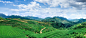 【茶】茶素材_最新茶图片素材-黄蜂网素材 - 大美工dameigong.cn