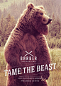 Barber Shaves & Trims: Tame the beast, Bear, Reindeer and Bison