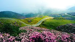 贵州乌蒙大草原【官网】