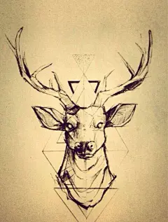 手绘 鹿