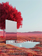 Midjourney-镜