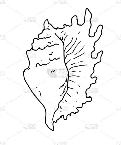 手绘矢量插图。海与贝壳与黑线在白色的背景。完美的邀请，织物，纺织品，床上用品，海报，印刷品，横幅