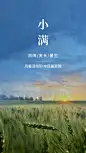 实景风小满全屏节气正能量祝福