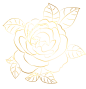 烫金线条感玫瑰花