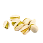 开心果 png