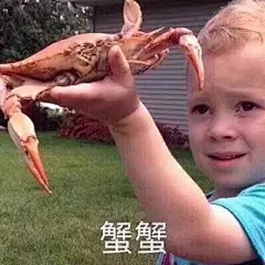 一条假笑男孩Gavin Thomas的表情包合集！祝大家小长假快乐~ : 首先，预祝大家元旦节快乐！！！即将迎来2018啦！ 今天给大家带来的是热门表情包假笑boy——Gavin Thomas的表情！希望你们喜欢~ 如果你喜欢这篇记得留言点赞转发收藏哦！有什么想要看的或者喜欢的表情包欢迎留言告诉
