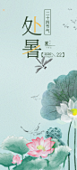 夏日二十四节气处暑节气炎热节气海报