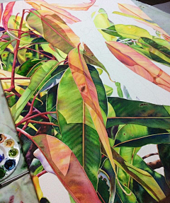 夏栀子采集到pat_hall_art