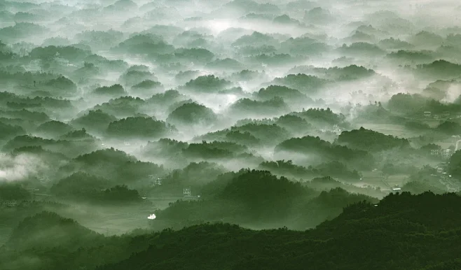 中华竹都蜀南竹海天下奇观百龟拜寿摄影照片-花瓣网