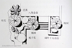 姬木香采集到植物造景