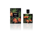 nest-fragrances-botanical-packaging-7