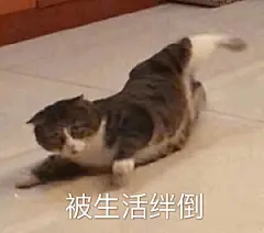 #四处搜刮来的无水印表情包# 抱 ​​​​