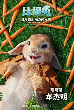 《比得兔》发布中文角色海报，好多兔纸&gt;&lt;詹姆斯·柯登配音贱萌的比得兔，玛格特·罗比配音俏皮的Flopsy、黛西·雷德利配音绒绒的的“棉尾巴”，伊丽莎白·德比奇配音伶俐的Mopsy，科林·穆迪配音大个儿、超萌的垂耳兔Benji。北美2月9日上映，中国内地3月2日上映。 ​​​​