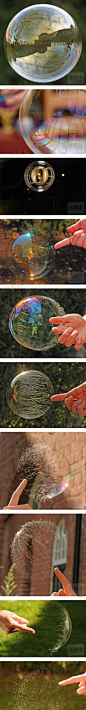 泡泡里的世界