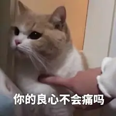 你的良心不会痛吗表情包的搜索结果_百度图片搜索
