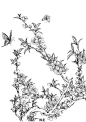 #绘画学习# 【 工笔画 ·《百花线描画谱》】收着描！