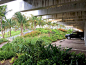 012-Perez Art Museum Miami: Resiliency by Design by  ArquitectonicaGEO
