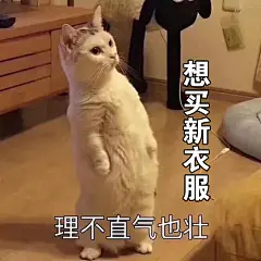 想买新衣服，理不直气也壮#要零花钱#表情包