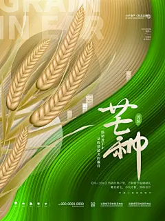 芒种宣传简约质感夏季二十四节气芒种海报