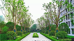 weihuanzai采集到欧式
