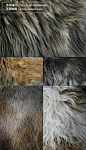 五款动物毛皮纹理高清图片素材