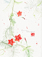 20150630231454_mK4cS.jpeg (658×899)
