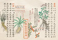 琯朗壁纸｜知母五钱  相思子一钱  当归四钱
母亲节壁纸：知母相思子当归
亲爱的麻麻们节日快乐～[愛你][愛你][愛你]
今日份壁纸提取自 本草品汇精要