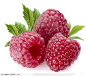 新鲜食材-鲜红的树莓