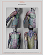 anatomy for sculptors-86