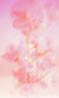 f29b9c18dbe3facf71fa91d4c5f97e3