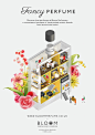 Bloom Perfumery - Jing Zhang illustration : illustration, infographic, advertising illustration
