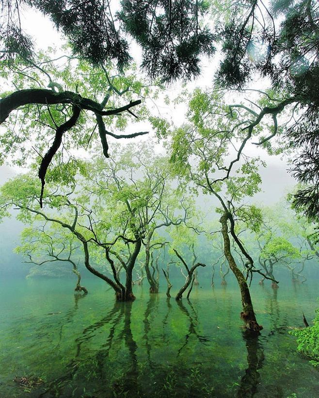 场景素材 树林 池塘