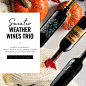 Shop Artisan Wines, Gifts, Accessories and More | WineShop At Home