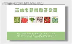 玉林市蔬菜种子公司名片cdr|板式|胡萝卜|黄瓜|名片|模板|商业名片|设计|矢量设计模板|西红柿|油白菜