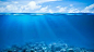 under the sea: 2 thousand results found on Yandex Images