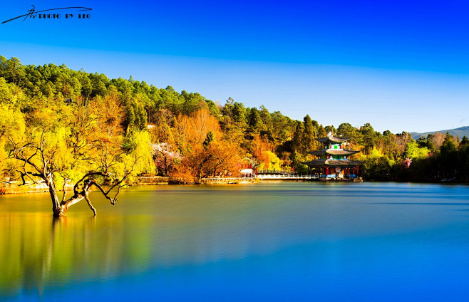 丽江黑龙潭.jpg (1200×774)