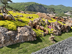 陈耳东22采集到B 植物设计意向图--高差处理（山地、台阶）