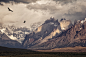 General 2048x1365 nature photography landscape birds condors flying mountains snowy peak morning sunlight Torres del Paine national park Patagonia Chile